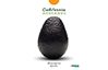 California Avocados Manager’s Guide design - cover