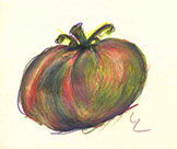 Tomato illustration
