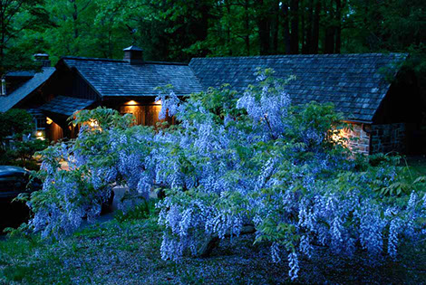 Liz Nicholas Design Studio at dusk