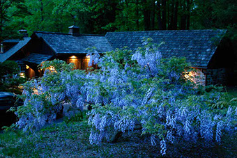 Liz Nicholas Design Studio at dusk